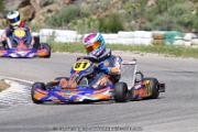 20110501_ales_agnus (3530)